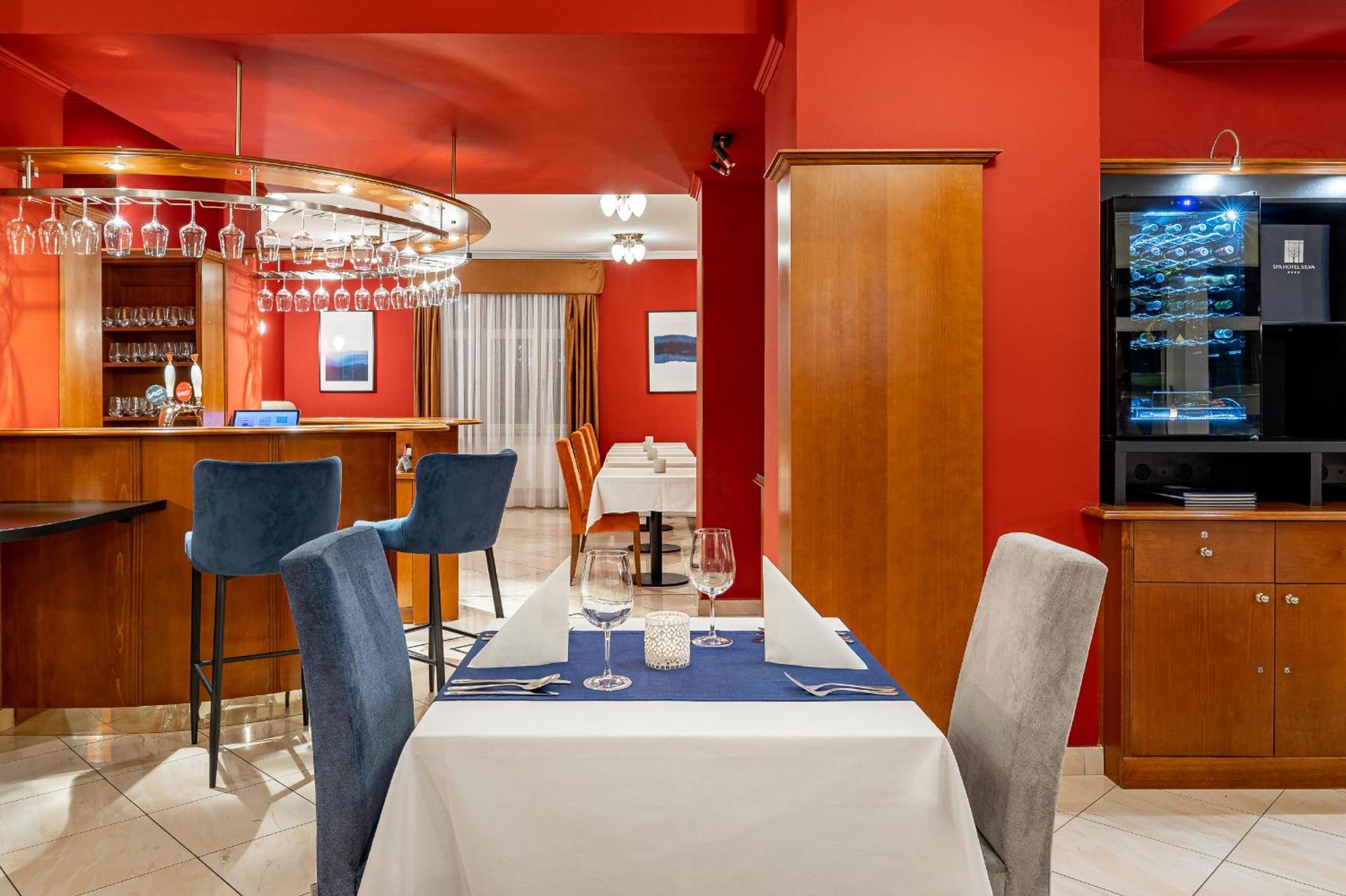 & Wellness Silva Hotel 4*